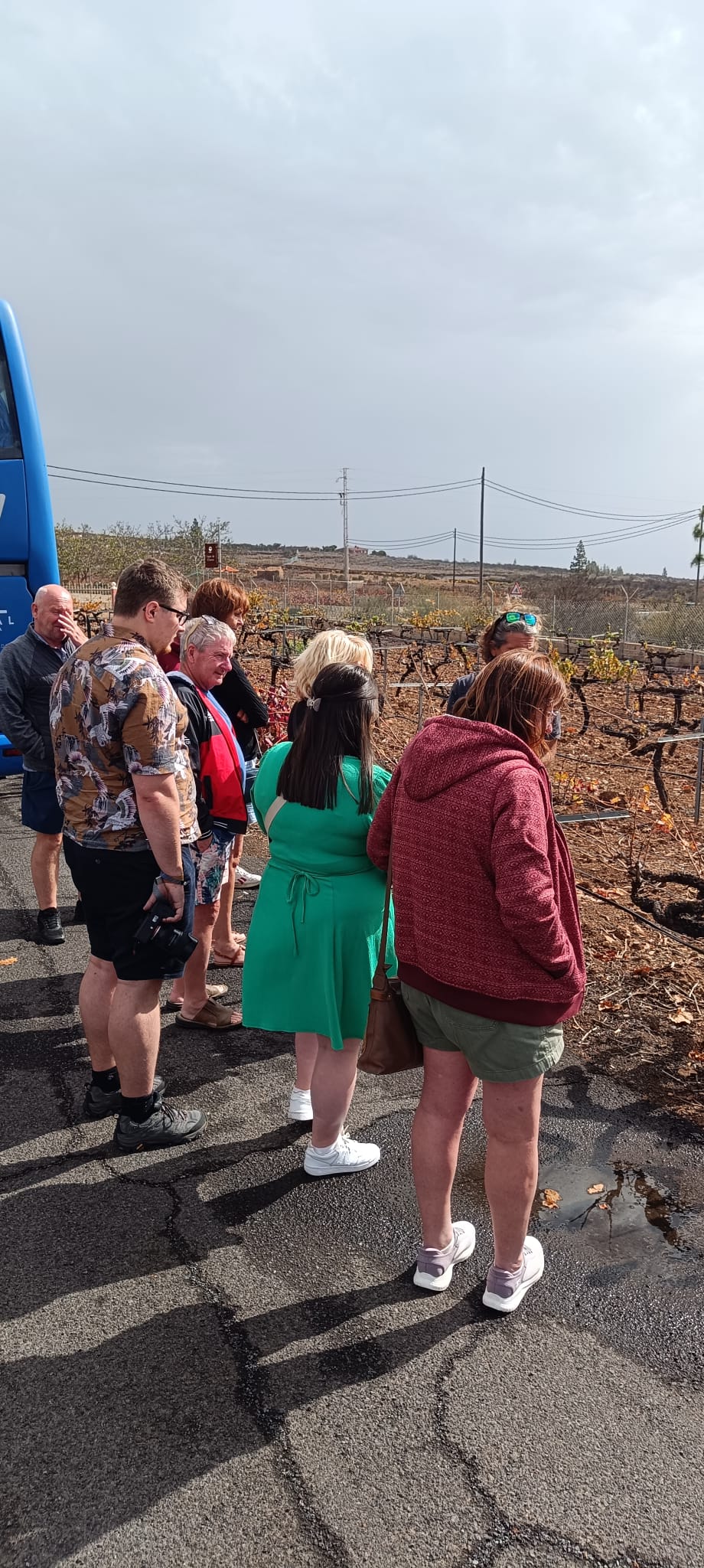 Wine Tour
